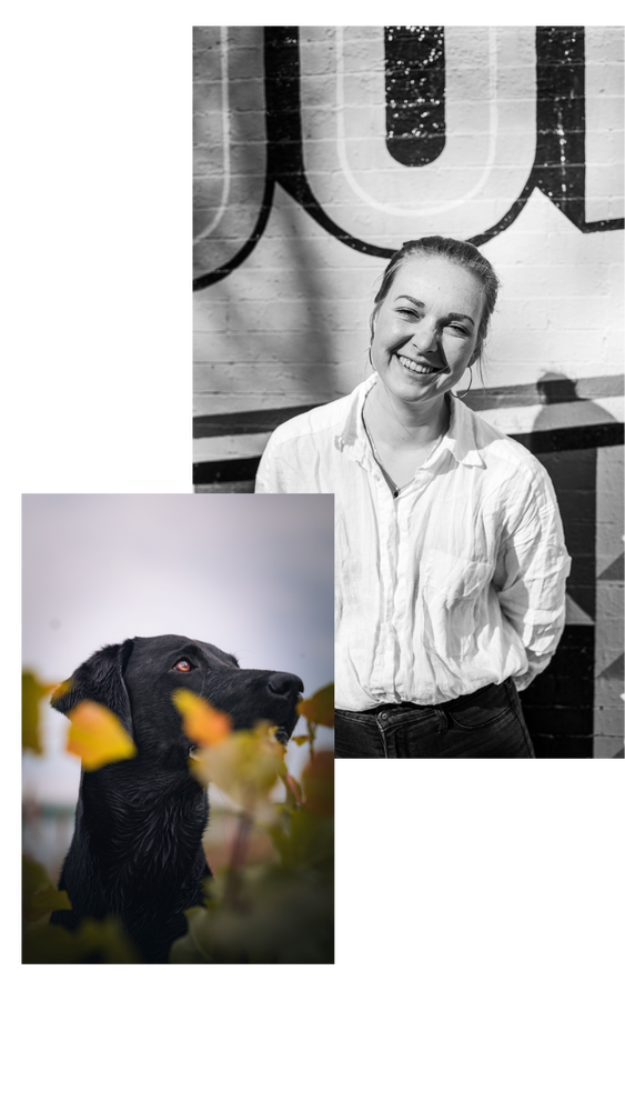 Hochzeiten, Hochzeitsfotografin aus Leipzig für Sachsen, Sachsen-Anhalt, Thüringen, Deutschland und Europa