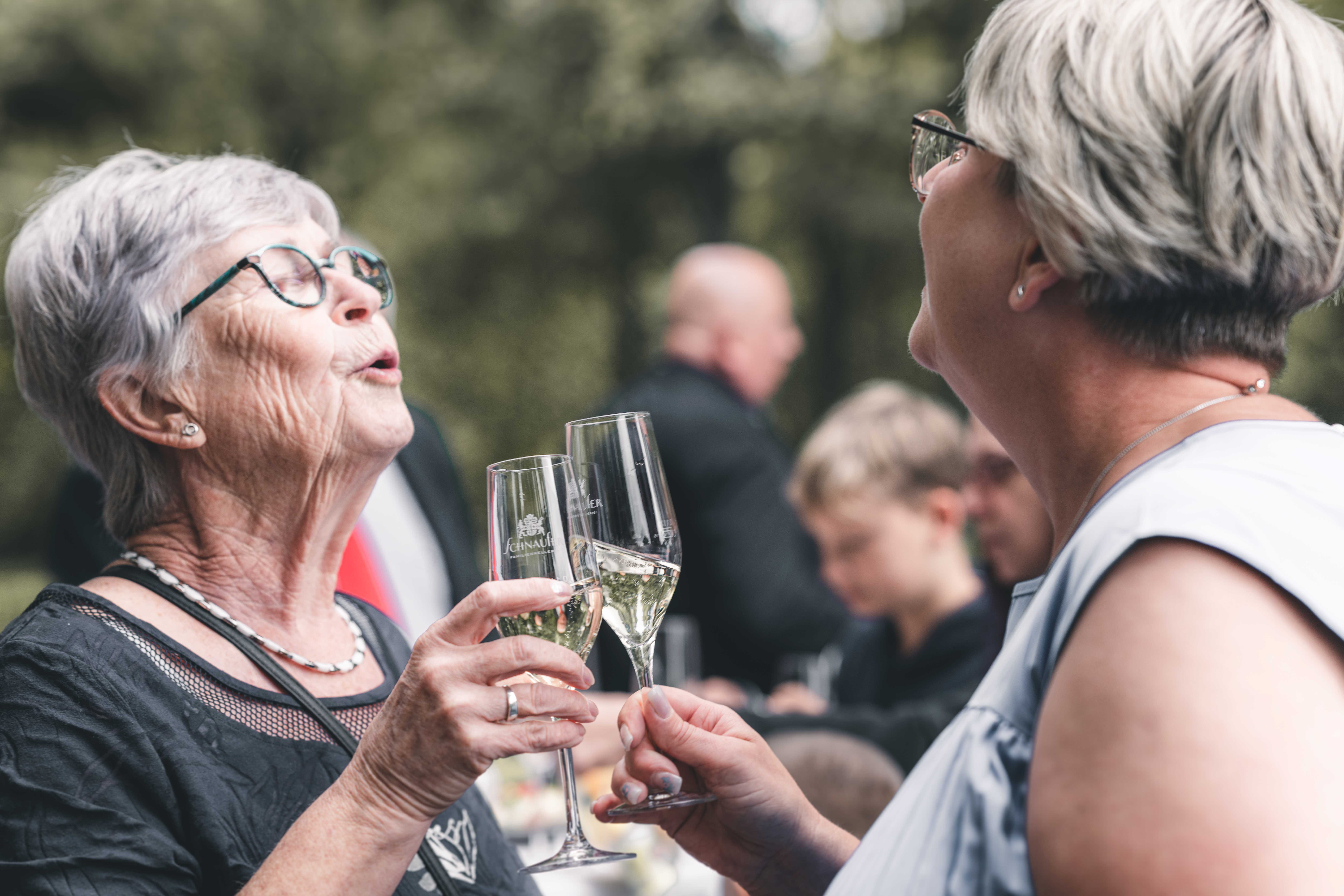 Hochzeitsgäste stoßen beim Sektempfang im Garten von Schloss Lichtenwalde an – authentische Momentaufnahme einer Hochzeitsreportage