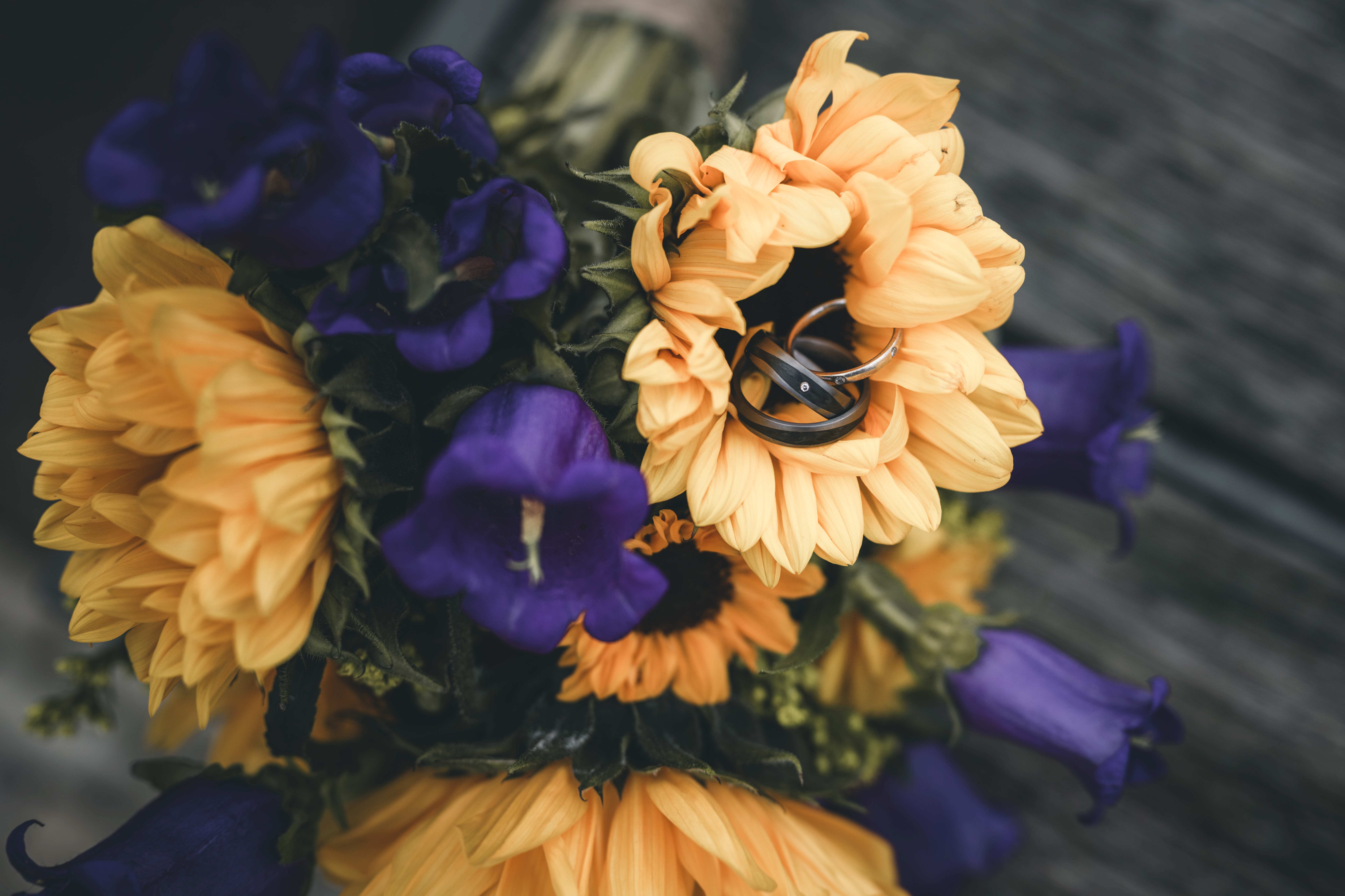 Die beiden Eheringe des Paares liegen kunstvoll arrangiert in den Blütenblättern einer gelben Sonnenblume im farbenfrohen Brautstrauß.