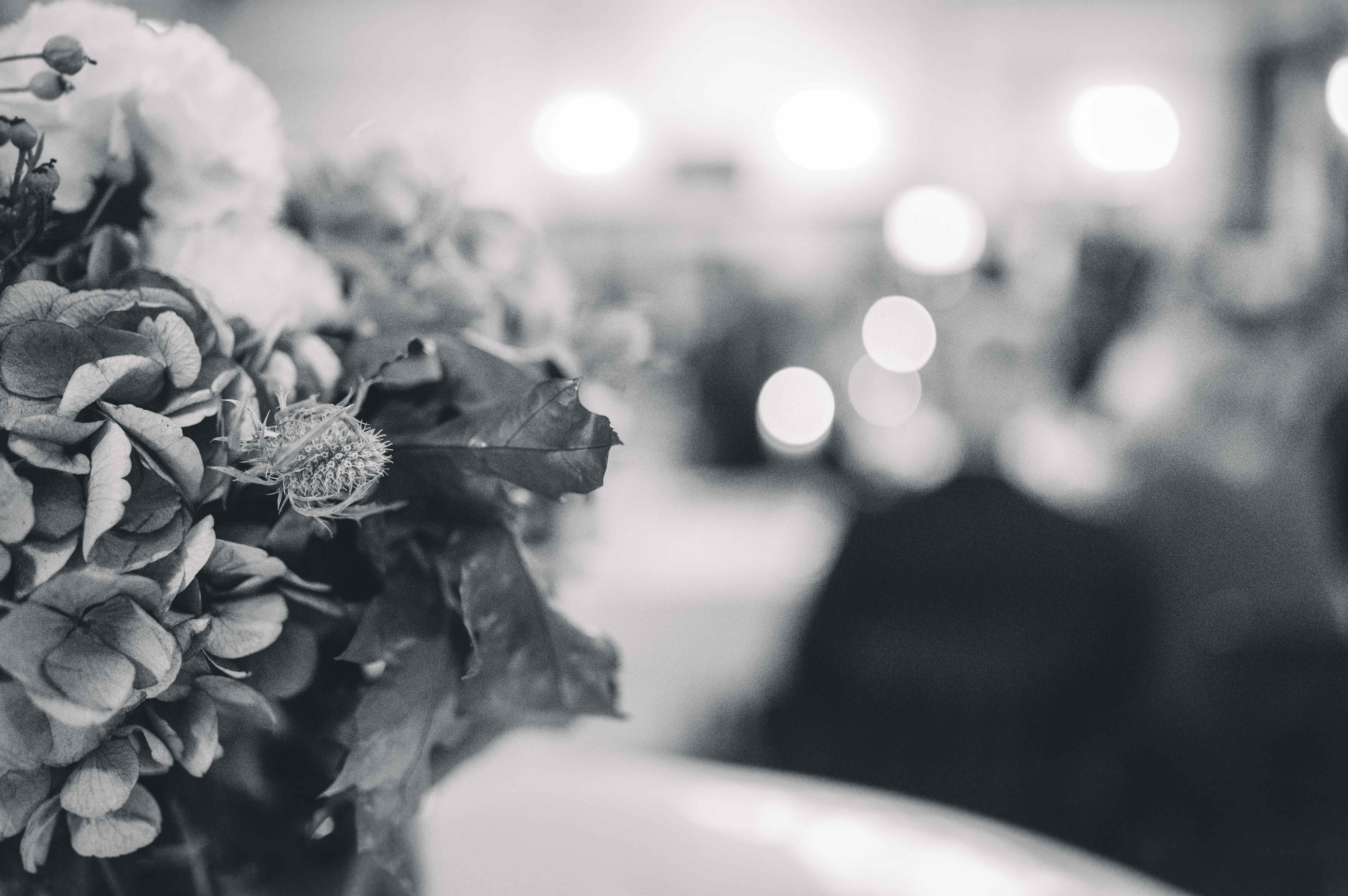 Eine kunstvolle Makro-Aufnahme von Hochzeitsblumen im Anschnitt, während die Lichter der Hochzeitsfeier im Hintergrund in wunderschöner Unschärfe (Bokeh) erstrahlen.