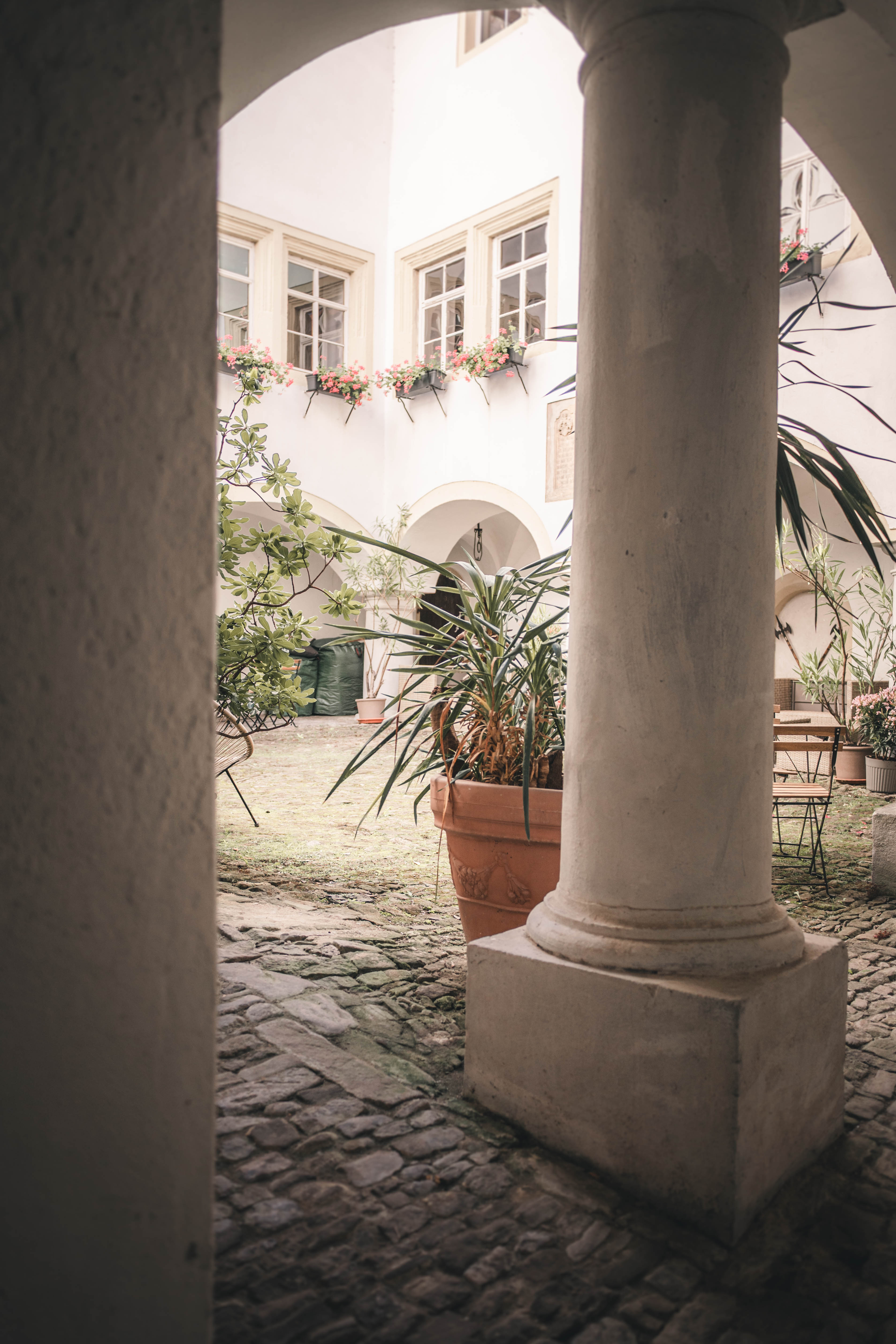 Ein Blick durch einen steinernen Rundbogen in den mediterran bepflanzten Innenhof des Wasserschlosses Frankleben mit weißen Säulen und blühenden Blumenkästen.