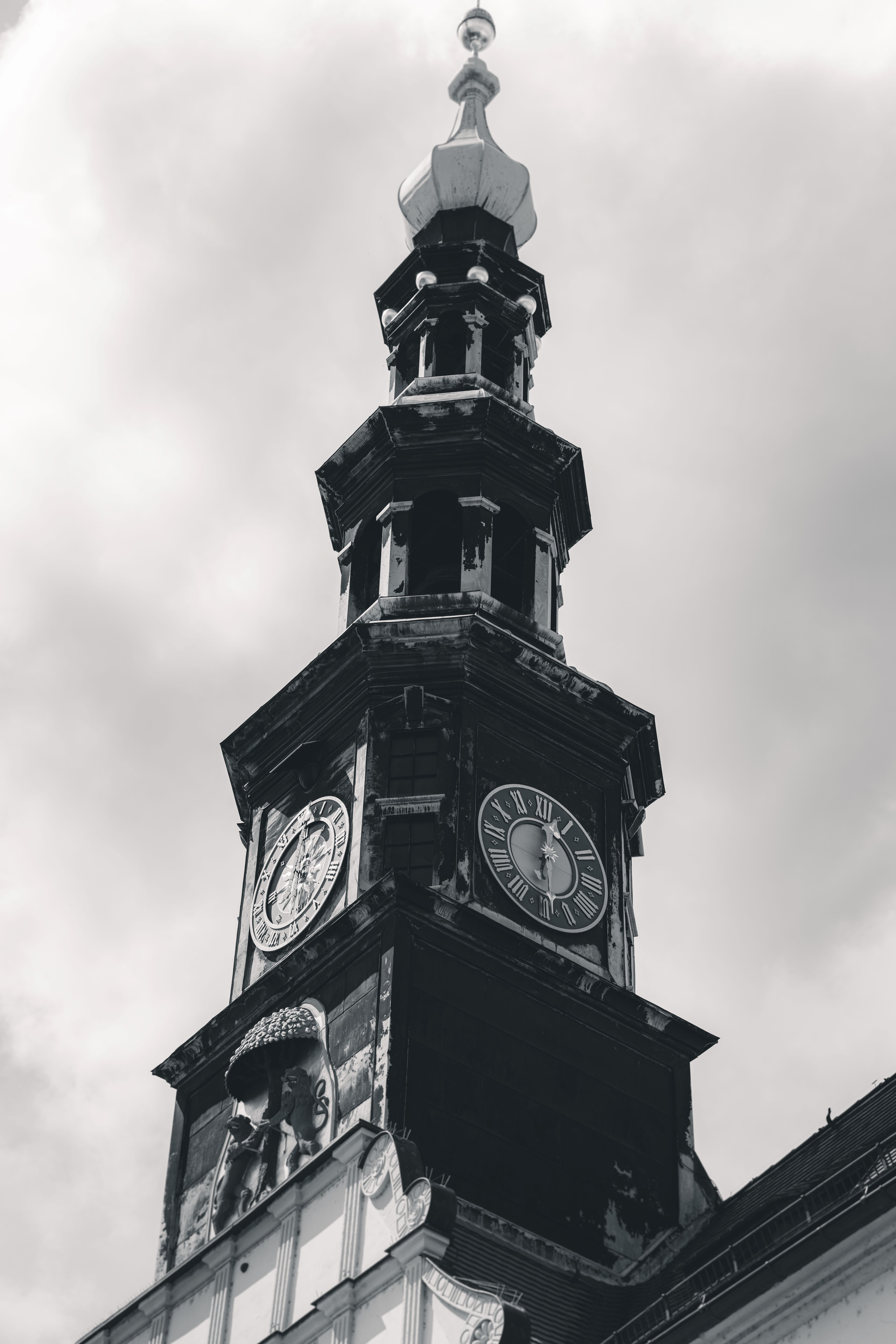 Eine kunstvolle Schwarz-Weiß-Aufnahme des barocken Turms vom Rathaus Pirna mit den großen Zifferblättern der Turmuhr.